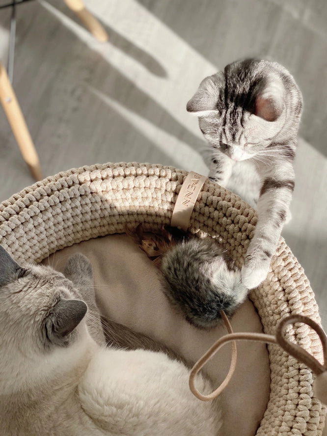 Jouet pour chat Musse - Labbvenn
