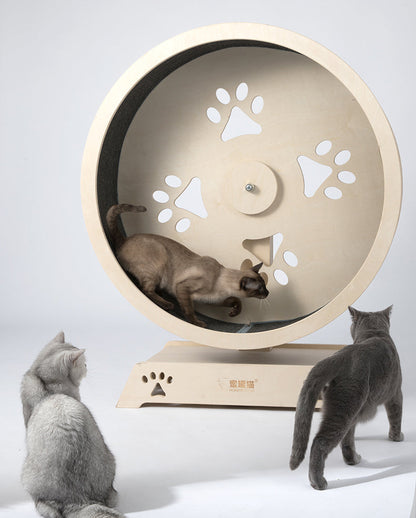 HONEYPOT CAT® Cat Wheel Cat Exercise Treadmill Detachable Carpet #190211 – vue 2