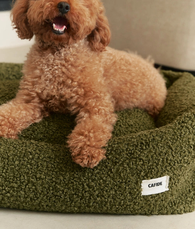 Lit Pour Chien Green Sheep, Snozy - CAFIDE