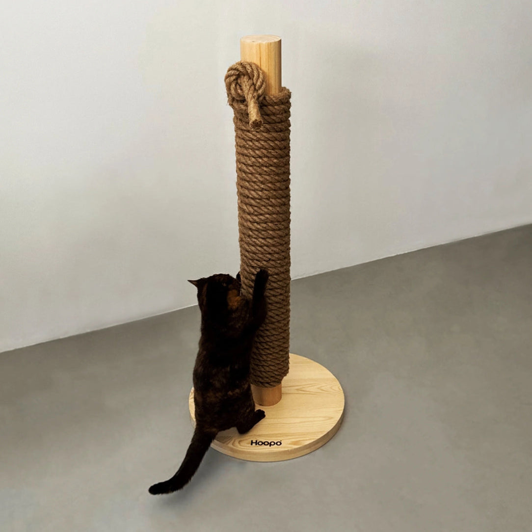 Un chat noir interagit avec un arbre à chat Hoopo, doté d'une base en bois stable et d'un tronc recouvert de corde brute, parfait pour stimuler son instinct de griffage.