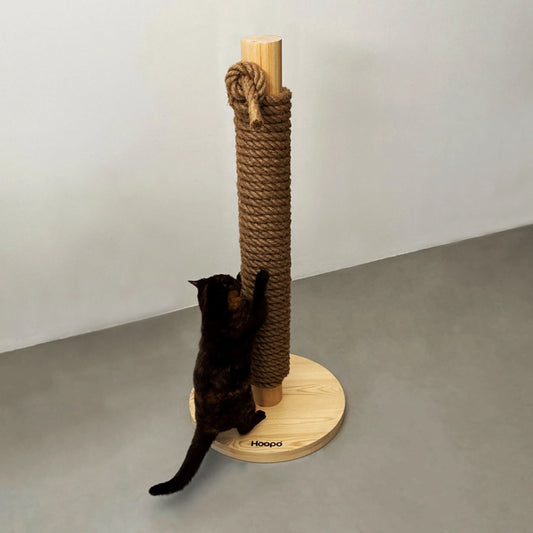Un chat noir interagit avec un arbre à chat Hoopo, doté d'une base en bois stable et d'un tronc recouvert de corde brute, parfait pour stimuler son instinct de griffage.