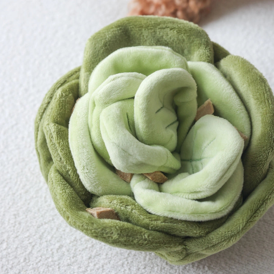 Peluche verte en forme de fleur douce et interactive pour chien, idéale pour stimuler la curiosité et le jeu des chiots.


