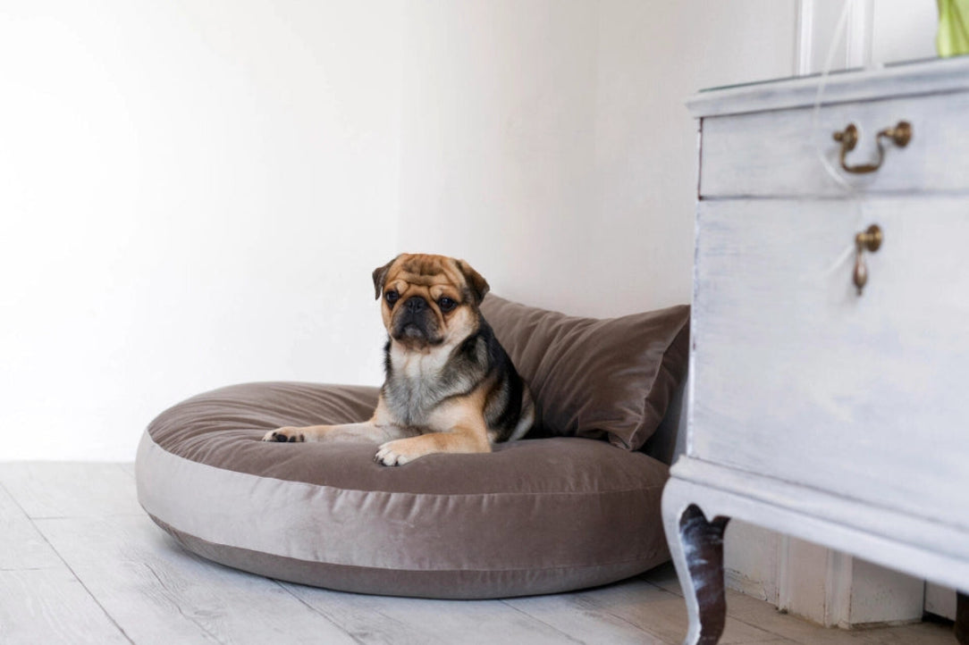 Coussin ovale en tissu marron pour chien, doux et confortable, parfait pour les chiots et chiens de toutes tailles, lavable et adapté à l’intérieur