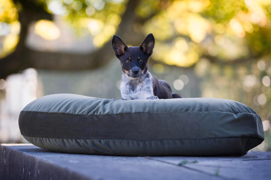 Coussin ovale en tissu gris pour chien, doux et résistant, parfait pour les chiots et chiens de toutes tailles, adapté à l’extérieur.