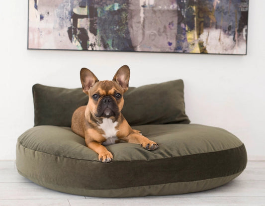 Coussin ovale en tissu vert olive pour chien, doux et confortable, parfait pour les chiots et chiens de toutes tailles, lavable et adapté à l’intérieur.