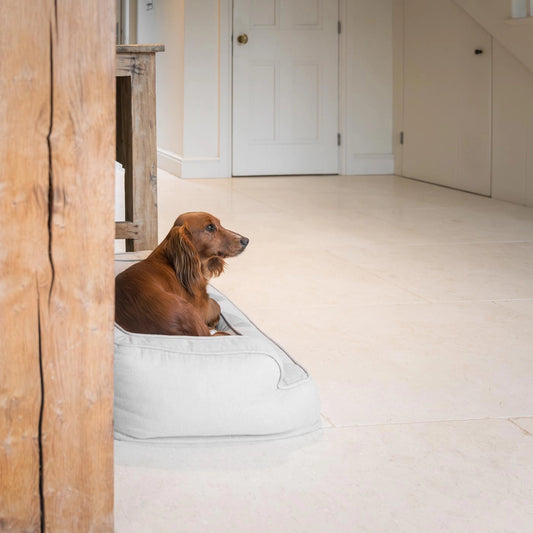 Coussin ovale en tissu blanc pour chien, doux et confortable, idéal pour les chiots et chiens de toutes tailles.