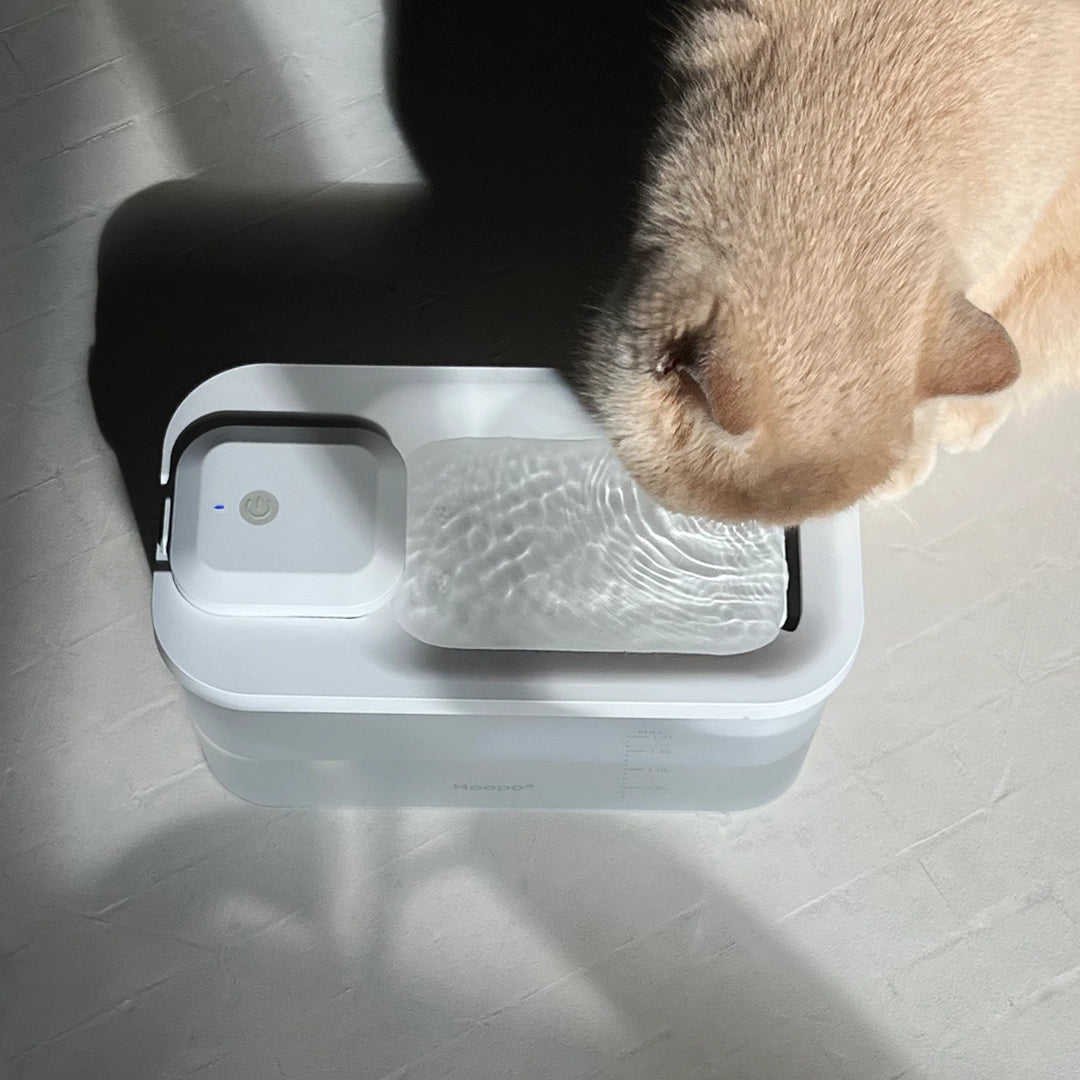 Un chat boit de l'eau à partir d'un distributeur d'eau automatique Hoopo blanc et moderne, doté d'une surface texturée pour une utilisation confortable.