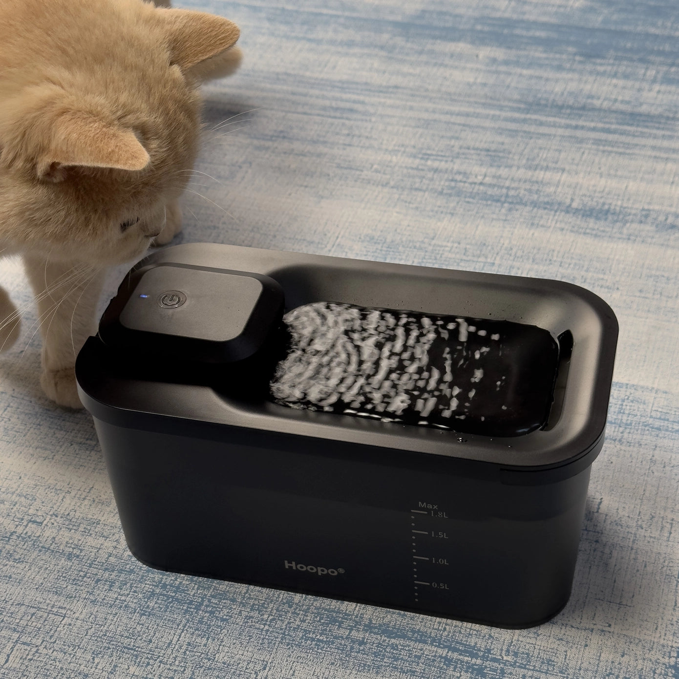 Un chat boit de l'eau à partir d'un distributeur d'eau automatique Hoopo noir et moderne, doté d'une surface texturée pour une utilisation confortable.