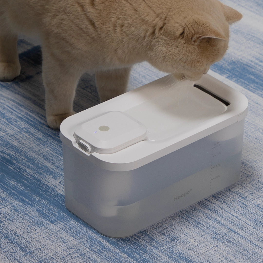 Un chat boit de l'eau à partir d'un distributeur d'eau automatique Hoopo blanc et moderne, placé sur un tapis bleu. Le distributeur garantit une hydratation constante.
