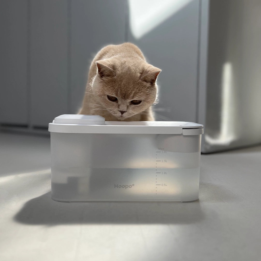  Un chat boit de l'eau à partir d'un distributeur d'eau automatique Hoopo blanc et moderne, garantissant une hydratation constante.
