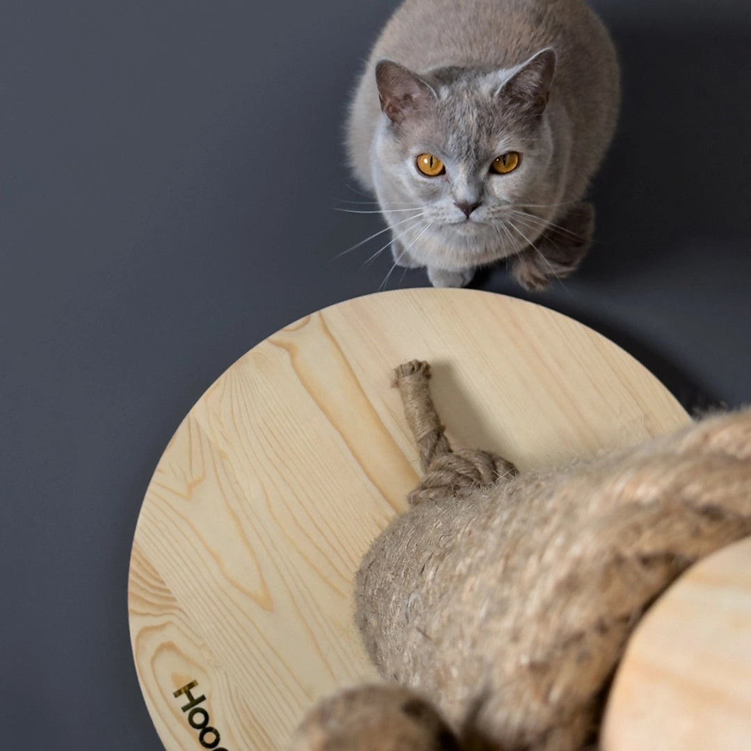 Griffoir élégant en corde tressée beige avec base en bois clair, parfait pour les chats actifs et qui s’intègre facilement dans un intérieur contemporain.