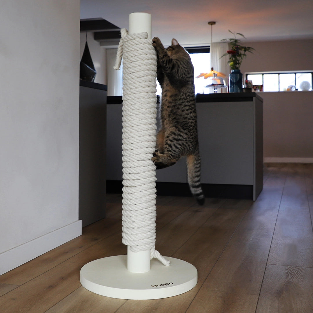 Griffoir moderne en corde tressée blanche pour chat, design élégant et robuste pour stimuler les griffes et l’activité physique