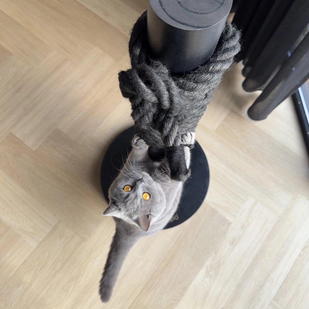 Griffoir moderne en corde tressée grise avec colonne en métal noir, parfait pour les chats actifs et qui s’intègre facilement dans un intérieur contemporain