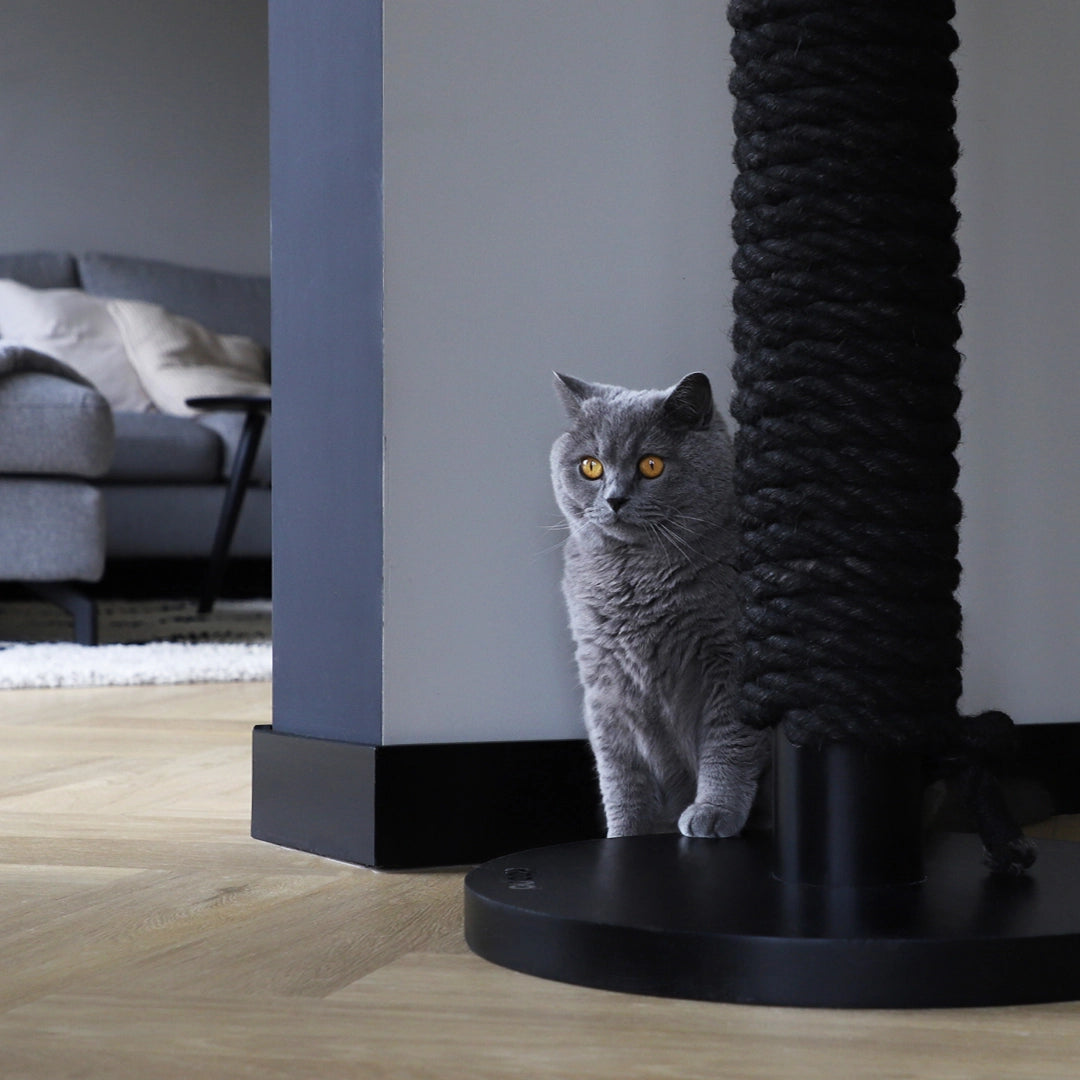 Griffoir moderne en corde tressée noire avec base solide, parfait pour les chats actifs et qui s’intègre facilement dans un intérieur contemporain.