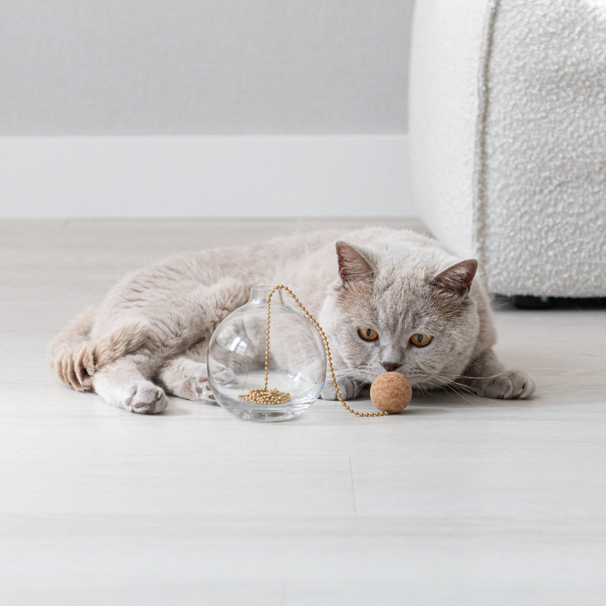 Un chat gris clair observe attentivement un vase en verre contenant des perles dorées et une boule en liège suspendue par une chaînette. Le mouvement et le bruit attirent immédiatement son attention.