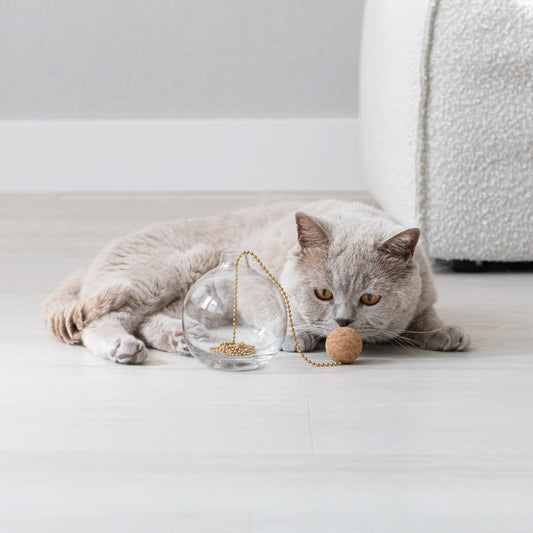 Un chat gris clair observe attentivement un vase en verre contenant des perles dorées et une boule en liège suspendue par une chaînette. Le mouvement et le bruit attirent immédiatement son attention.