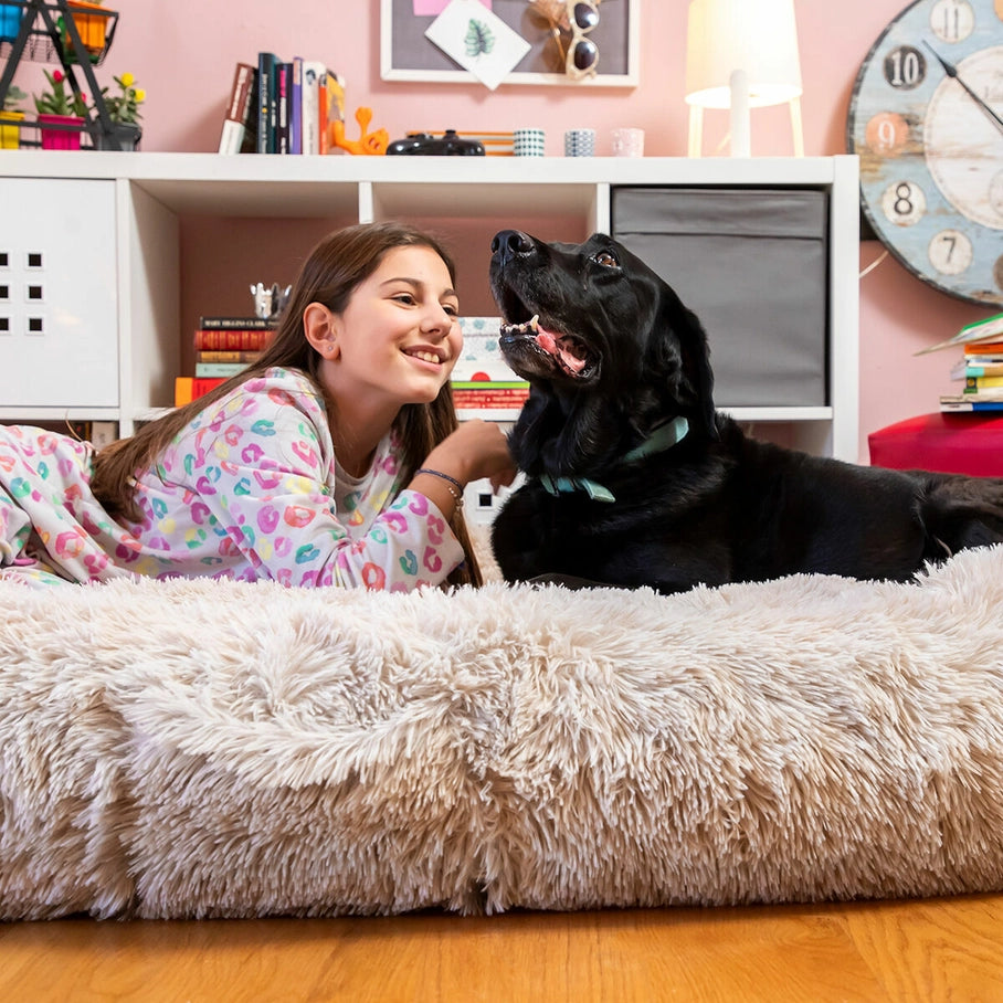 Grand panier moelleux en fausse fourrure beige pour chien, lit XXL anti-stress offrant un confort optimal dans le salon, idéal pour les grands chiens aimant se détendre avec leur famille.