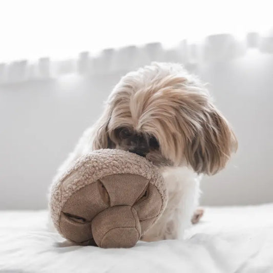 Peluche beige douce et interactive pour chien, idéale pour stimuler la curiosité et le jeu des chiots.