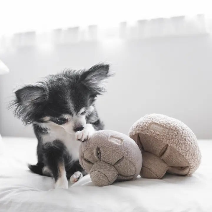 Peluche beige douce et interactive pour chien, idéale pour stimuler la curiosité et le jeu des chiots.