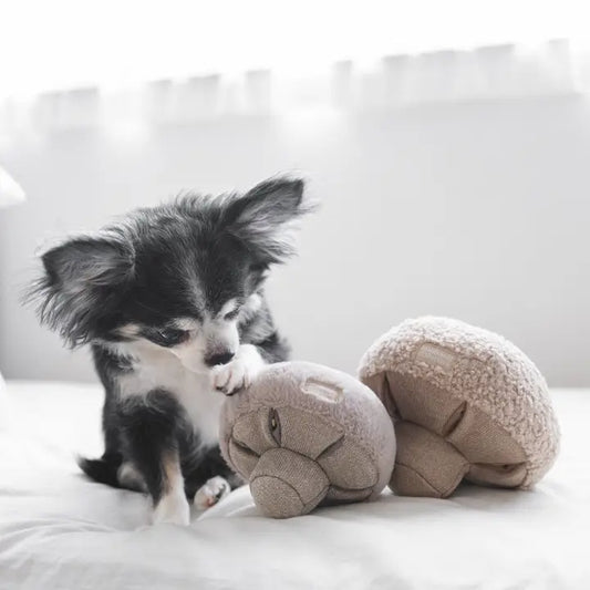 Peluche beige douce et interactive pour chien, idéale pour stimuler la curiosité et le jeu des chiots.