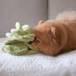 Peluche verte douce et interactive pour chien, idéale pour stimuler la curiosité et le jeu des chiots.