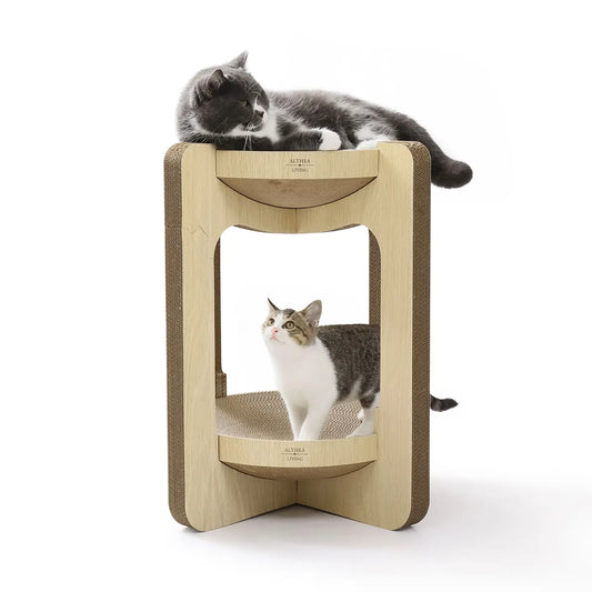 2 chats sur la Tour à griffer 2 niveaux pour chats. En carton recyclé, lit intégré, surface d’observation et griffade naturelle. Design moderne, écologique et compact. 