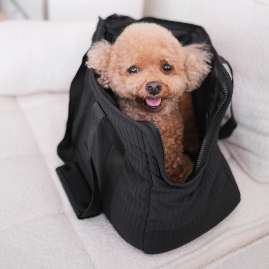 Un sac de transport pour animaux noir, accueillant un chien de petite taille. Le sac est conçu pour offrir un transport sûr et confortable.