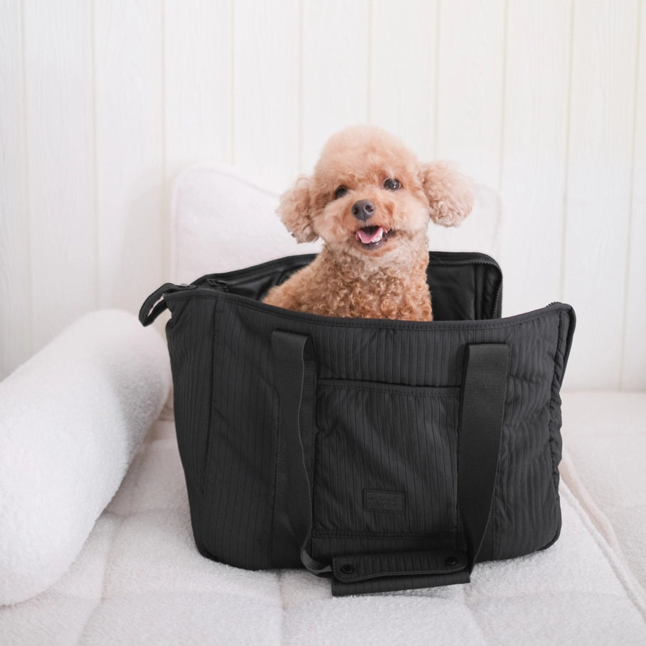 Un sac de transport pour animaux noir, accueillant un chien de petite taille. Le sac est conçu pour offrir un transport sûr et confortable.