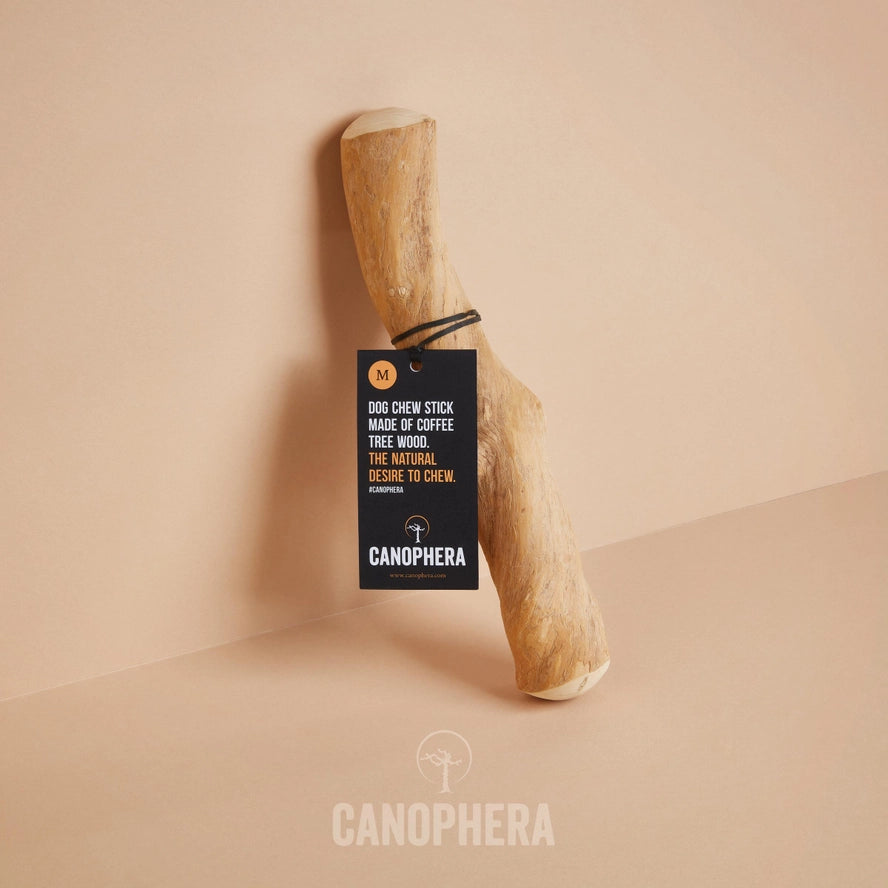 Bâtonnet à Mâcher Pour Chien en Bois de Café - CANOPHERA GmbH