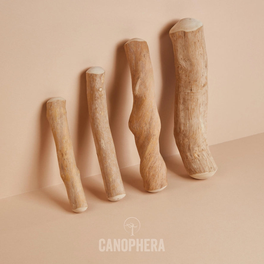 Bâtonnet à Mâcher Pour Chien en Bois de Café - CANOPHERA GmbH