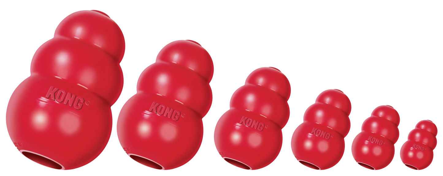 KONG Classic M - Hofman Animal Care