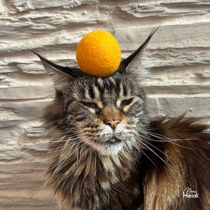 Set de 6 balles pour chat - New Heidi – vue 4