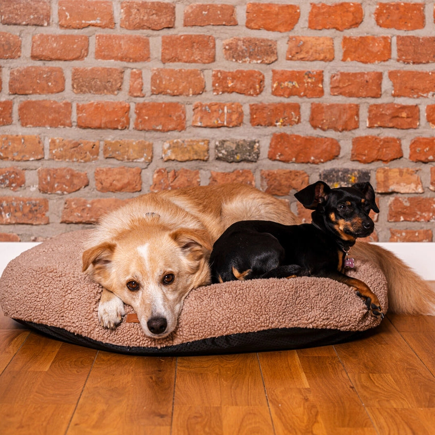 Lit rond COCO TEDDY beige pour chiens et chats - Rexproduct Sp. z o.o. Sp. k.