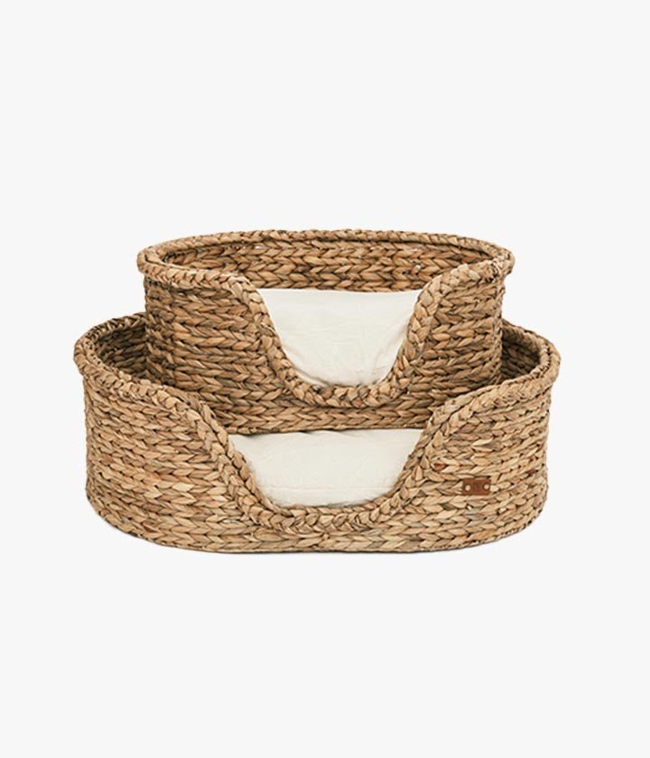 Dingo - Panier - PET & Co. eine Marke von Variance GmbH