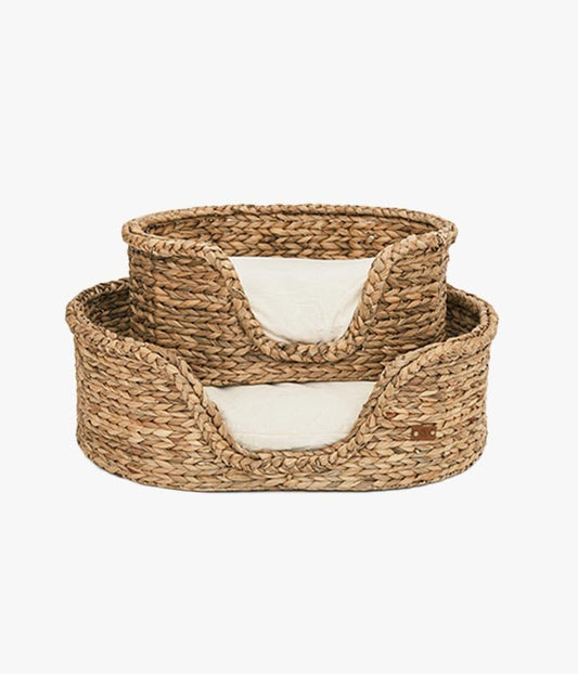 Dingo - Panier - PET & Co. eine Marke von Variance GmbH