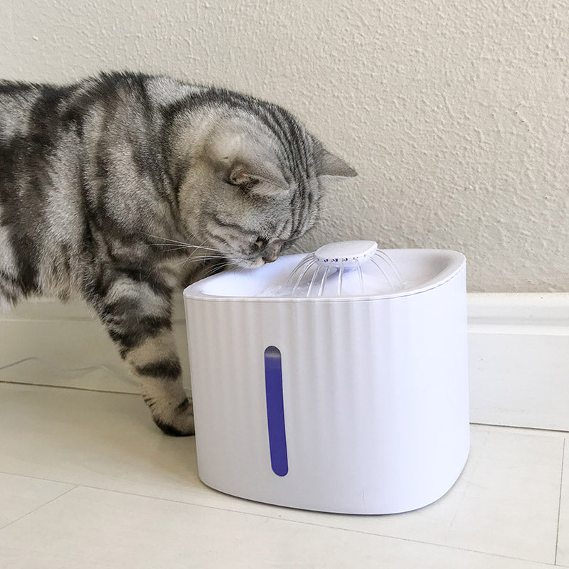 Fontaine à eau pour chat - Leo's Paw