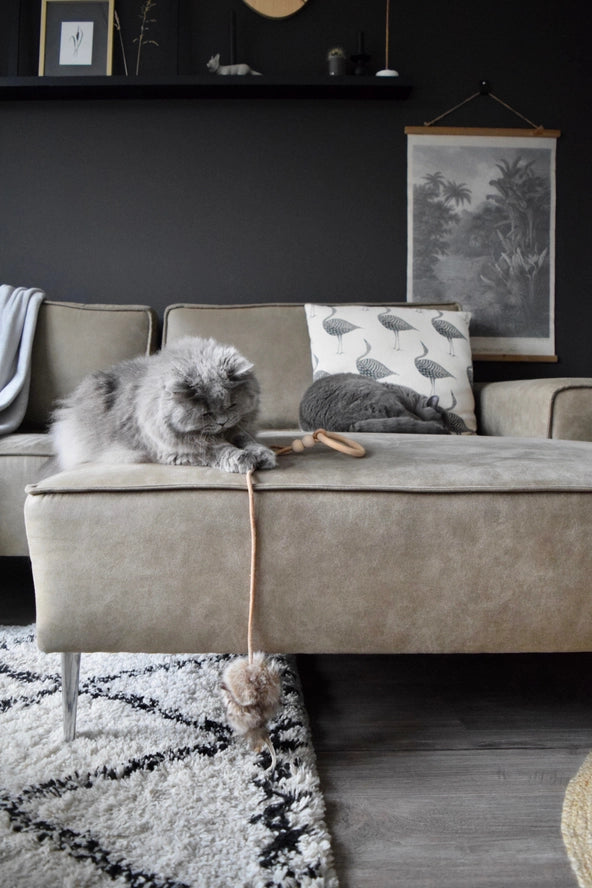 Jouet pour chat Musse - Labbvenn