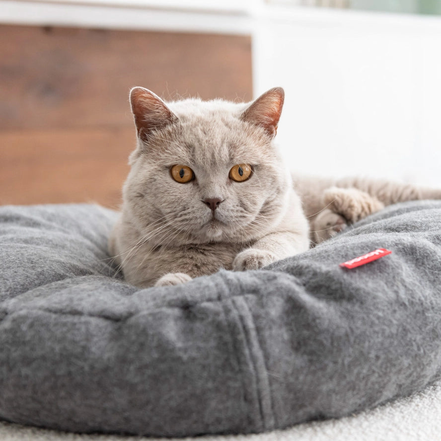Lit Donut pour chat - Hoopo