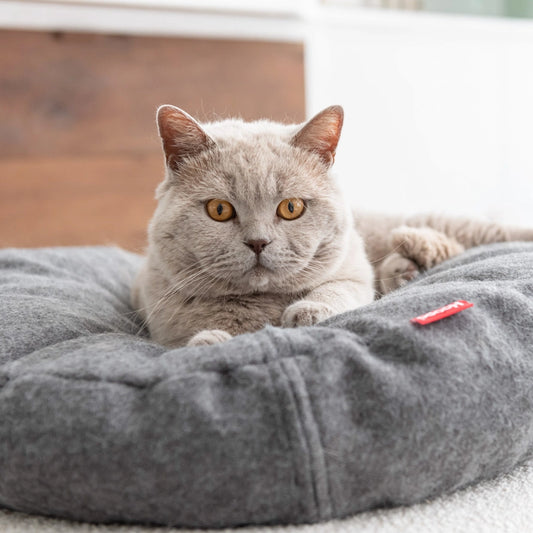 Lit Donut pour chat - Hoopo