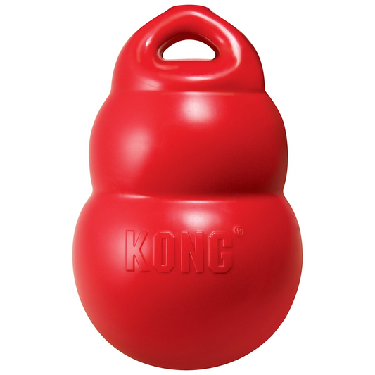 KONG Bounzer Grand - Hofman Animal Care