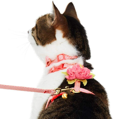Ensemble de Laisse et Harnais pour Chat - Blueberry Pet – vue 4