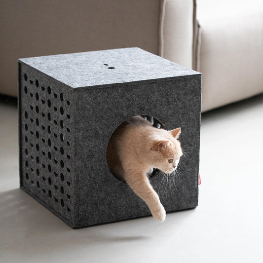 Cube - Jouets pour chats - Hoopo