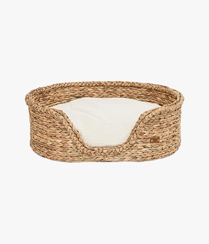 Dingo - Panier - PET & Co. eine Marke von Variance GmbH