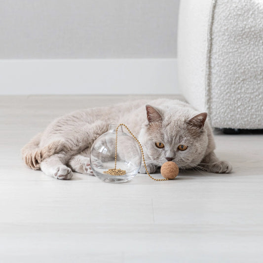 Jouet Tail Cat - Hoopo