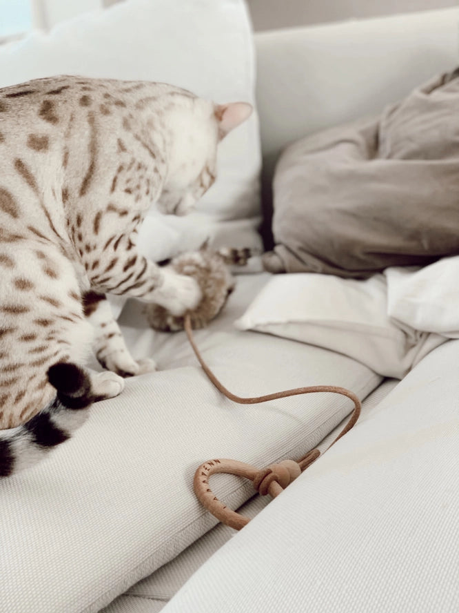 Jouet pour chat Musse - Labbvenn