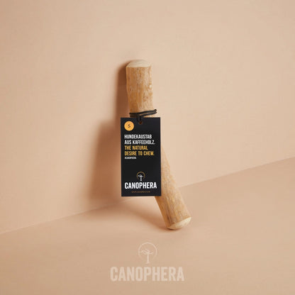 Bâtonnet à Mâcher Pour Chien en Bois de Café - CANOPHERA GmbH – vue 11