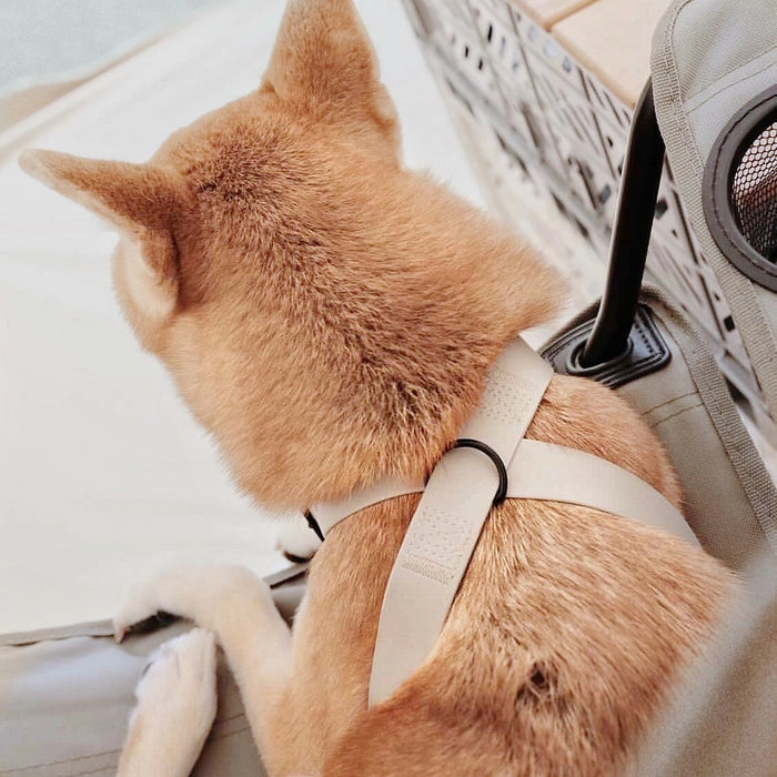 OTTO | harnais imperméable figure 8 pour chiens et chats - Lambwolf Collective