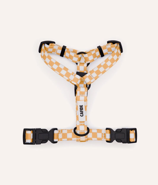 Harnais en PET recyclé, orange, motif pêche, Juno - CAFIDE