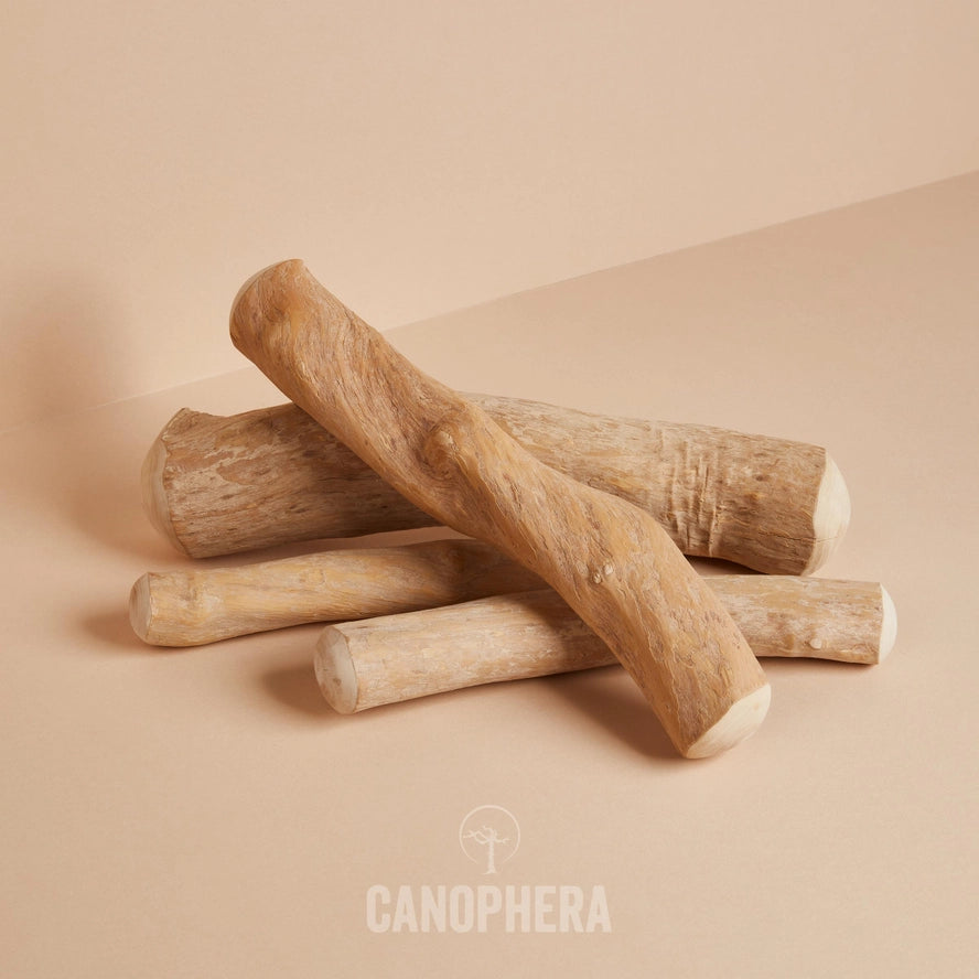 Bâtonnet à Mâcher Pour Chien en Bois de Café - CANOPHERA GmbH