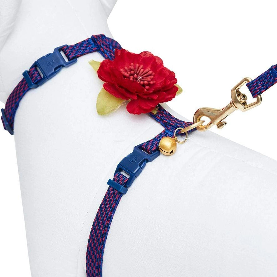 Ensemble de Laisse et Harnais pour Chat - Blueberry Pet